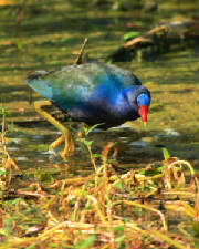 dpp_0022.jpg